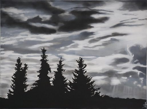 SHADOWS OF REVOLUTION